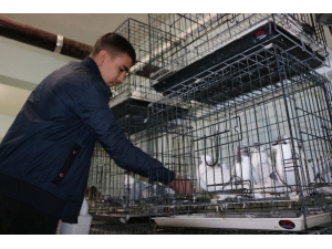 Diyarbakır’da Üç Bina Güvercinler İçin Otele Çevrildi