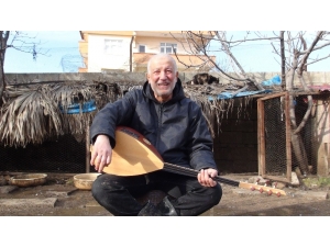 Hayvanlara Bağlama Konseri