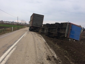 Tır Devrildi, 2 Bin 200 Tavuk Telef Oldu