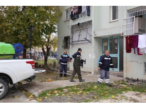 Adana’da Sivrisinekle Mücadeleye Şimdiden Başlandı