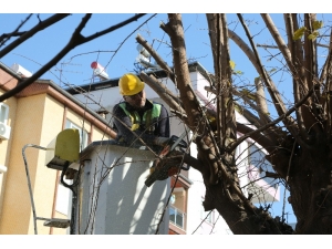Efeler’de Tehlikeye Geçit Yok