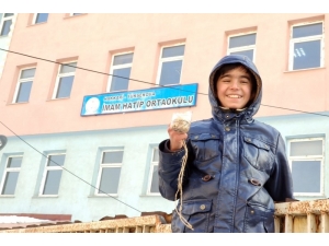 Yüksekovalı Öğrenciler Kuşlar İçin Yemlik Yaptı