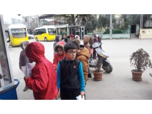 Tost Ücretsiz Olunca Kuyruk Oluştu