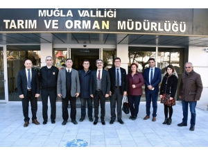 Muğla’da Meralarda Hayvan Otlatma Ücretleri Düşürüldü