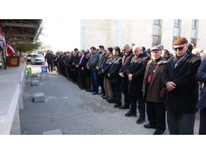 Çarptığı Kadının Ölümüne Neden Olan Sürücü Adli Kontrolle Serbest