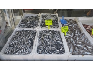 Hamsi, Fiyatı İle Enflasyona Meydan Okudu