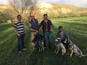 Başkan Emre Ak; "Yoğun Kış Şartlarının Yaşanmasından Dolayı Yaban Hayvanlarına Destek Çıkalım"