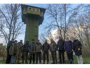 Gönen Deltası’ndaki Flamingo Popülasyonu Arttı