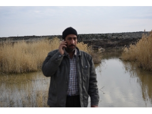 Karnelerini Aldıktan Sonra Kaybolan Kardeşlerden 24 Saattir Haber Alınamıyor