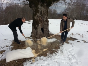 Kışın Ortasında Hayvanlar Unutulmadı
