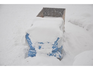 Yüksekova’da Yoğun Kar Yağışı Ve Sis