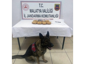 Yolcu Otobüsündeki Esrarı ‘Kitap’ Buldu