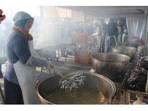 Düzce’de "Hamsiler Tavaya Kanlar Kızılay’a"