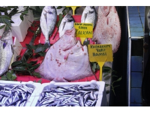 Kalkan Balığının Fiyatı Dudak Uçuklatıyor
