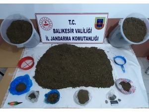 Erdek’te Jandarma Ormanda Uyuşturucu Ele Geçirdi