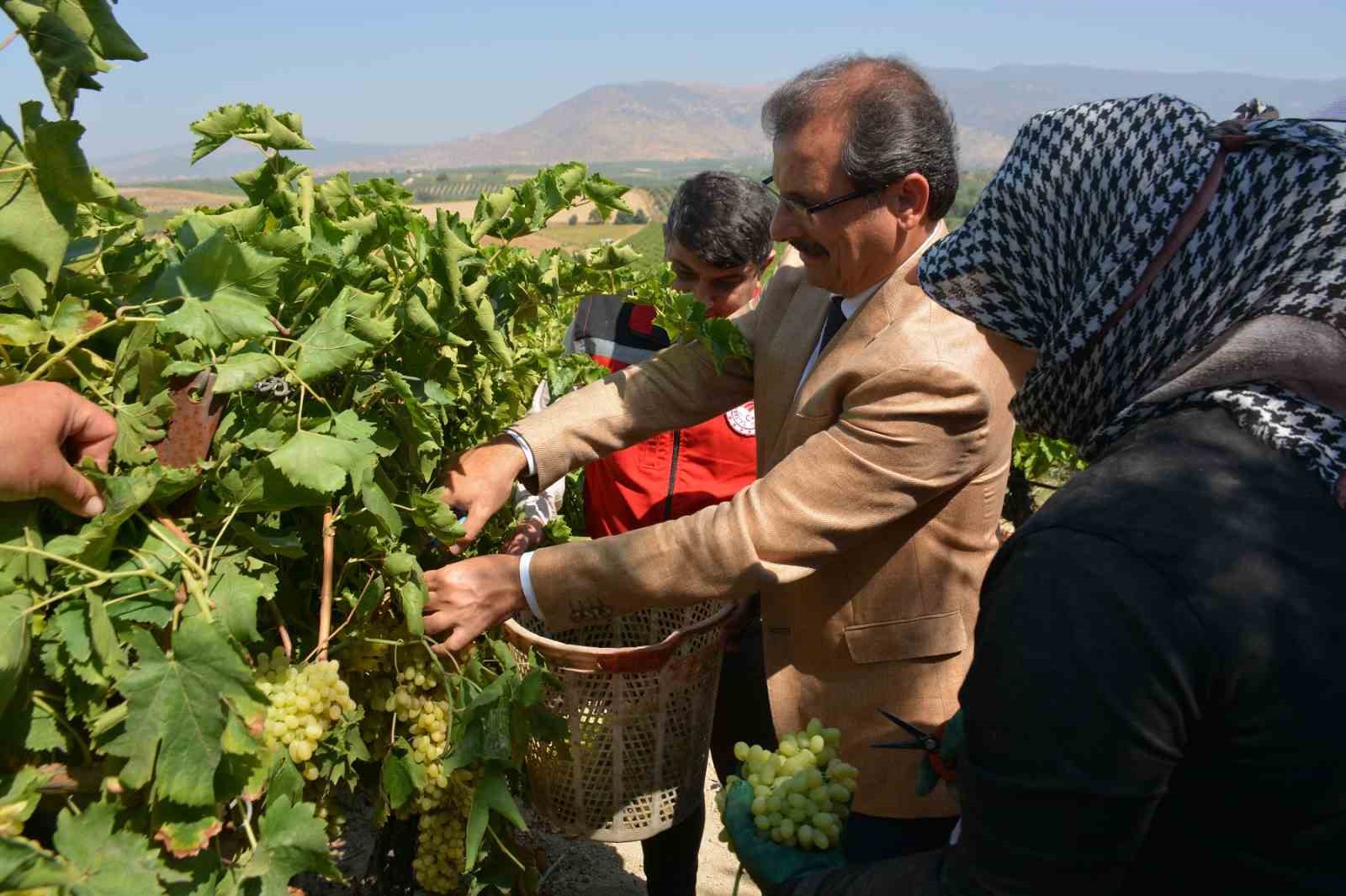 kaymakam-guldogan-baga-girip-uzum-kesti