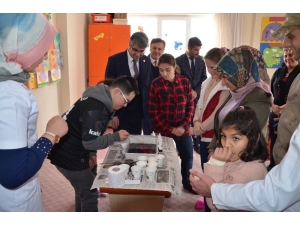 Engellilere Ebru Kursu