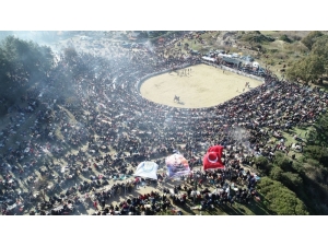 38. Uluslararası Devecilik Festivali’ne Binlerce Kişi Akın Etti