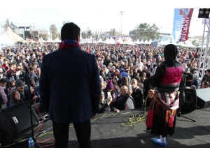 Hamsi Festivali Sona Erdi