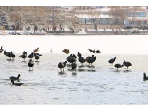 Başkent Beyaza Büründü