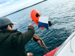 Aydın’da Kaçak Avlanmaya İzin Yok