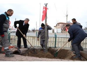 Melikgazi’de 2020 Yılı Ağaçlandırma Ve Yeşillendirme Yılı Olacak