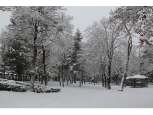 Çorum Güne Karla Uyandı