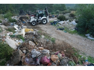 Ormanda Çıkan 65 Ton Çöp Görenleri Şok Etti