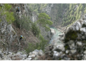 Kayalıklarda 2 Gün Mahsur Kalan 6 Keçi 8 Saatlik Operasyonla Kurtarıldı