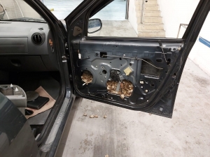 Sarp Sınır Kapısı’ndan 5 Bin 450 Adet Su Kaplumbağasını Türkiye’ye Böyle Geçirmeye Çalışmış