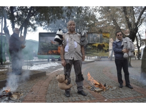 Avustralya İçin En İlginç Eylem