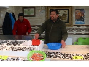 Kilosu 10 Liraya Düşen Hamsi Rize’de Yüzleri Güldürdü