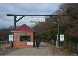 Doğa Harikası Hamsilos, Halka Bırakıldı