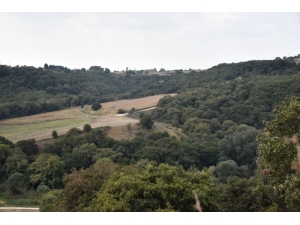Çorlu’nun Tek Ormanlık Bölgesi Yaşamaya Devam Edecek