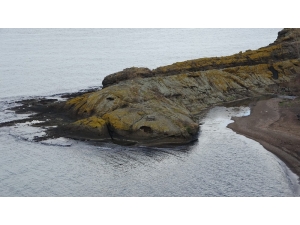 Şaşırtan ‘Timsah Adası’ Havadan Görüntülendi