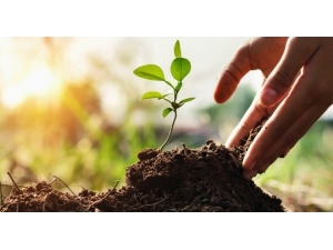 Avustralya Yangını Türkiye’deki Mobilya Sektörünü Harekete Geçirdi