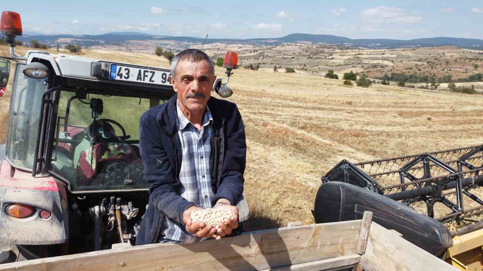 yerli-nohut-cesidinde-hasat-zinciri-buyuyor