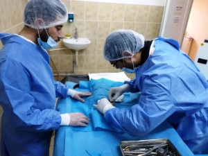 Hayvan Barınağı Modern Haline Kavuştu