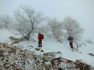 Sibirya Değil Kazdağları