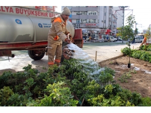 Ali Çetinkaya Caddesinde Peyzaj Çalışması