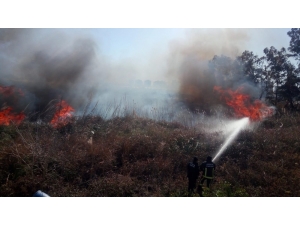 Antalya’da Sazlık Yangını