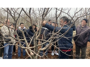 Budama Eğitimi İçin Kayıtlar Başladı