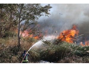 Antalya’da Sazlık Yangınında Bazı Evler Tedbir Amaçlı Tahliye Edildi