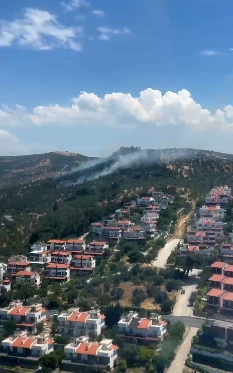 burhaniye-deki-zeytinlik-yangini-kontrol-altina-alindi