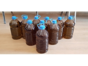 Sahte Zeytinyağlarını Vatandaşa Yedirmişler