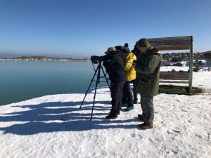 Antalya, Isparta Ve Burdur’da 739 Bin Su Kuşu Sayıldı