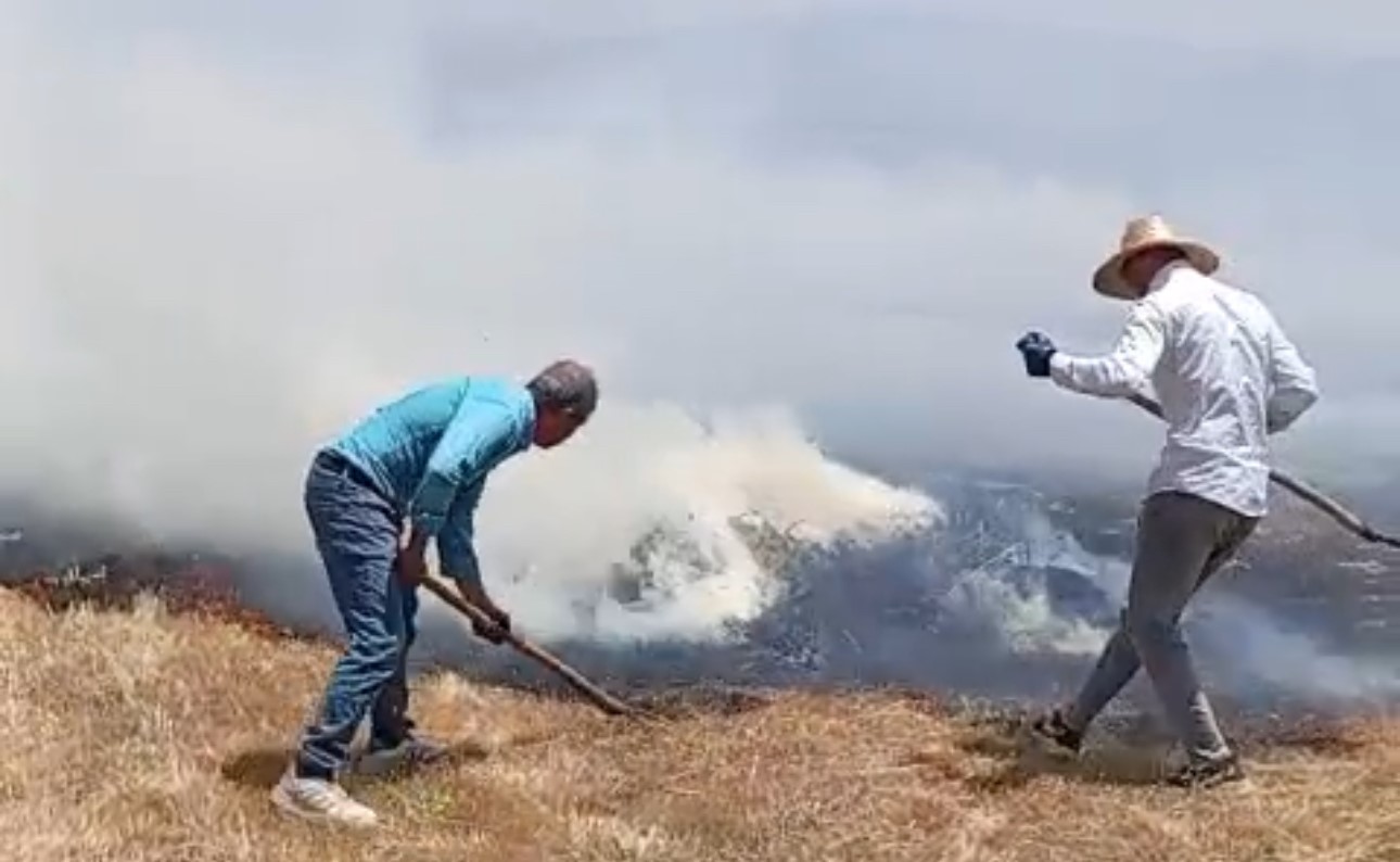 yuksekova-da-bin-balya-ot-kul-oldu