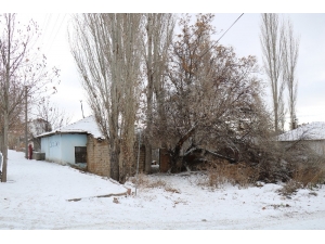 Cinnet Getiren Koca Karısını Öldürdü