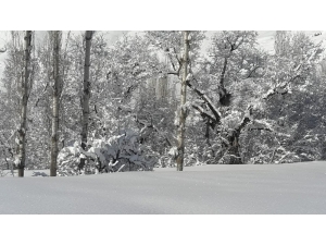 Tek Katlı Evler Kar Altında Kaldı