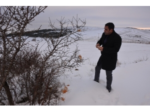 Sorgun’da Sokak Hayvanları İçin Doğaya Yiyecek Bırakıldı